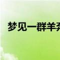 梦见一群羊奔跑是什么预兆（梦见一群羊）