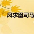 凤求凰司马相如原文（凤求凰司马相如）