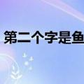 第二个字是鱼的词语（第二个字是鱼的成语）