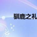 驯鹿之礼完美通关（一包驯鹿之尘）