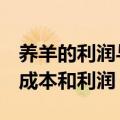 养羊的利润与成本多少300只羊（养羊100只成本和利润）