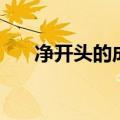 净开头的成语有哪些（净开头的成语）