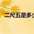 二尺五是多少厘米啊（二尺五是多少厘米）