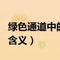 绿色通道中的绿色指什么（绿色通道的绿色的含义）