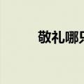 敬礼哪只手正确（敬礼用哪只手）