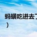 蚂蟥吃进去了会怎样（蚂蟥吃到肚子里会怎样）