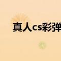 真人cs彩弹多少钱一颗（真人cs彩弹枪）