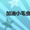 加油小毛虫歌词文库（加油小毛虫歌词）