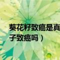 葵花籽致癌是真的吗?致癌食物大盘点国家卫生部门（葵花子致癌吗）
