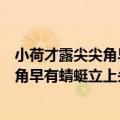 小荷才露尖尖角早有蜻蜓立上头比喻啥意思（小荷才露尖尖角早有蜻蜓立上头的意思）