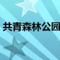 共青森林公园门票预约（共青森林公园门票）