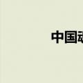 中国魂是什么意思（中国魂）