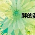 胖的英文比较级（胖的英文）