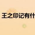 王之印记有什么用（王之石像碎块有什么用）