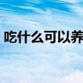 吃什么可以养胃又治胃病（吃什么可以养胃）