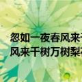 忽如一夜春风来千树万树梨花开是写什么季节（忽如一夜春风来千树万树梨花开是）