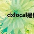 dxlocal是什么意思（local是什么意思）