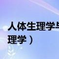 人体生理学与医学两者之间有何关系（人体生理学）