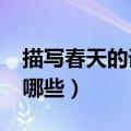 描写春天的词语有哪些?（描写春天的词语有哪些）