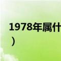 1978年属什么命五行属什么（1978年属什么）