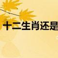 十二生肖还是十二生肖读音（十二生肖读音）