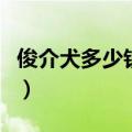 俊介犬多少钱一只好养吗（俊介犬多少钱一只）
