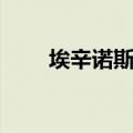 埃辛诺斯战刃图片（埃辛诺斯战刃）