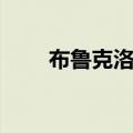 布鲁克洛佩兹体重（布鲁克洛佩兹）
