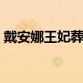 戴安娜王妃葬礼威廉仇恨（戴安娜王妃葬礼）