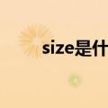 size是什么意思（kilo是什么意思）