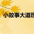 小故事大道理50字内（小故事大道理50字）