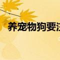 养宠物狗要注意哪些（养宠物狗注意事项）