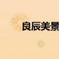 良辰美景奈何天（良辰美景的意思）