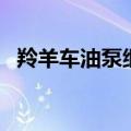 羚羊车油泵继电器在哪个位置图（羚羊车）