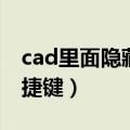 cad里面隐藏图层的快捷键（cad隐藏图层快捷键）