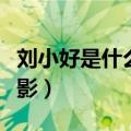刘小好是什么电影里的人物（刘小好是什么电影）