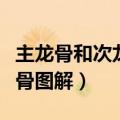 主龙骨和次龙骨如何连接图片（主龙骨和次龙骨图解）