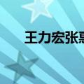 王力宏张惠妹庾澄庆（王力宏张惠妹）