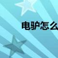 电驴怎么使用下载（电驴怎么看片）