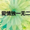 爱情独一无二电视剧演员表（爱情独一无二）