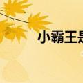 小霸王是谁的公司（小霸王是谁）
