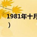 1981年十月初十是阳历几号（农历十月初五）
