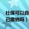 社保可以自己缴纳吗 怎么缴纳（社保可以自己缴纳吗）