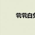 茕茕白兔是什么意思（茕茕白兔）