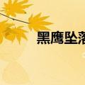 黑鹰坠落2完整视频（黑鹰坠落2）