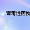 肾毒性药物有哪些抗生素（肾毒性药物）
