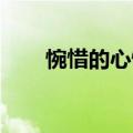 惋惜的心情 花样男子（惋惜的心情）