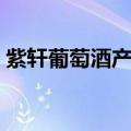 紫轩葡萄酒产地在哪里（紫轩葡萄酒价格表）