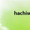 hachiware是什么意思（hachi）