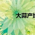 大蒜产地是哪里产的（大蒜产地）